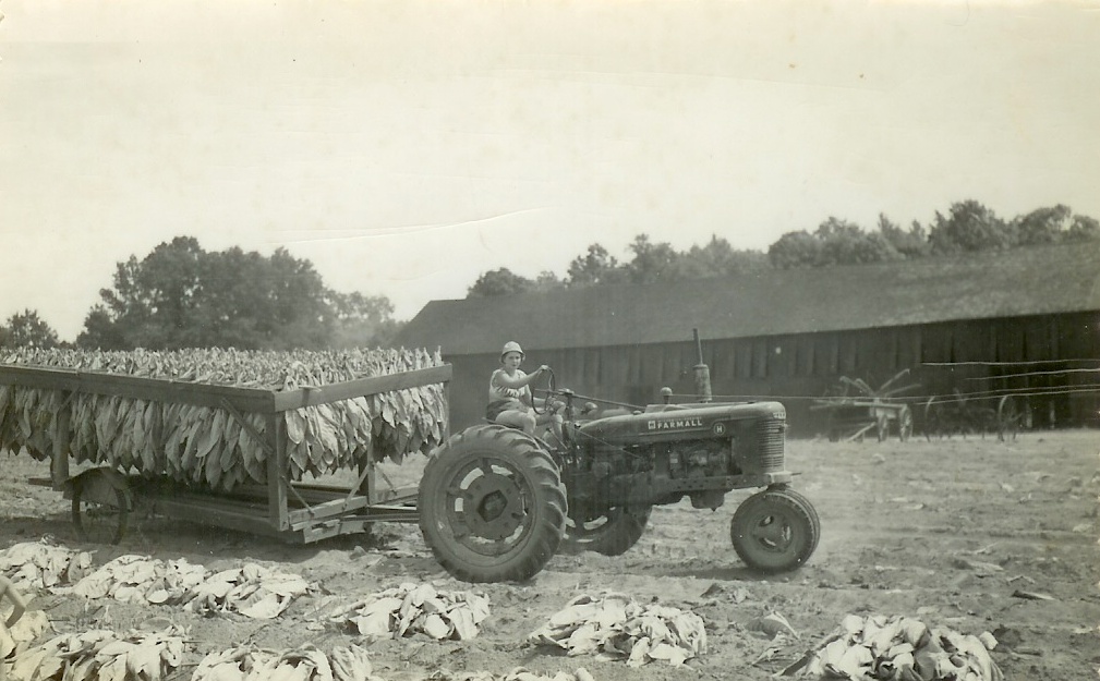 About Cupola Hollow Cupola Hollow Farm